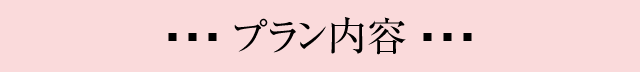 プラン内容