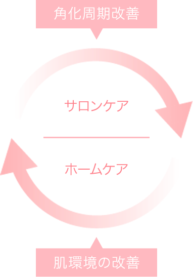 サロンケア:角化周期改善 ホームケア:肌環境の改善